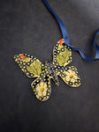Isabel - IM02 - Butterfly
