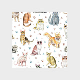 Kitty Cats Swedish Dishcloth | Reusable Paper Towels | Pets